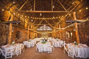 Banquet in Rustic style