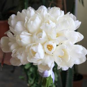 белые тюльпаны на свадьбу