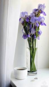 Bouquet of irises. CC0 