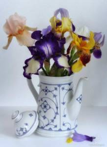 Bouquet of irises. CC0 