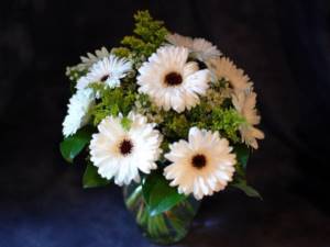 A bouquet of white gerberas embodies tenderness and purity