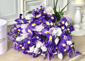 Bouquet of white and purple irises