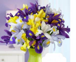 Bouquet of irises of different colors