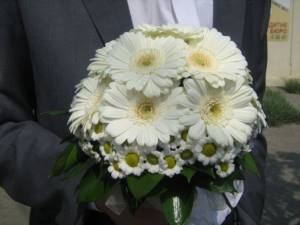 Bride&#39;s bouquet of white chrysanthemums and gerberas