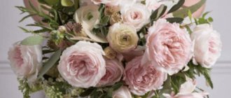 букет невесты в розовом цвете