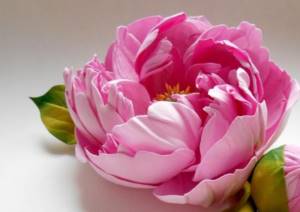 To make a peony, you can use foamiran of various colors: pink, white, red