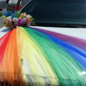 rainbow colors for wedding car