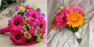 Gerberas for cheerful, cheerful brides