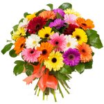 Gerberas are organically combined with other flowers in one bouquet