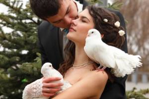 Doves for a wedding