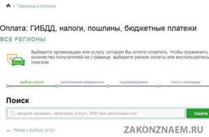 state duty through Sberbank online, step 3