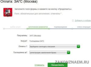 state duty through Sberbank online, step 4