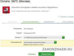 state duty through Sberbank online, step 5