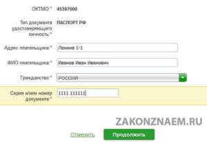 state duty through Sberbank online, step 7