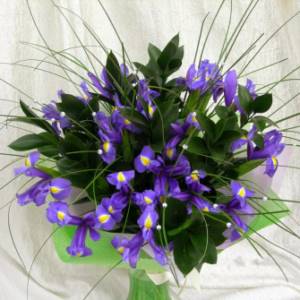 Irises combined with beautiful greenery