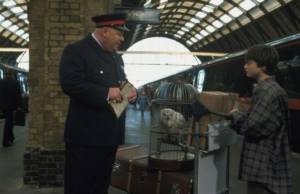Still from the film &quot;Harry Potter and the Philosopher&#39;s Stone&quot;