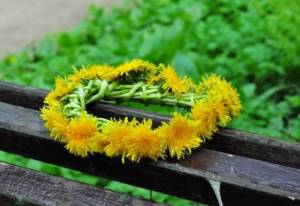 How to weave a dandelion wreath: basic principles