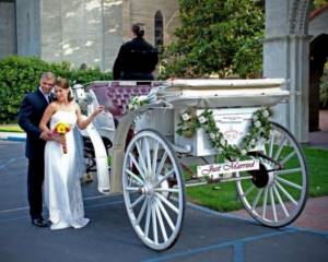 Carriage for a wedding