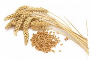 Картинки по запросу пшеница ветки из теста