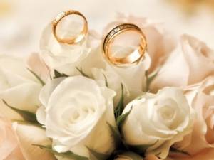 rings on roses