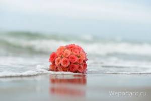 коралловые розы на берегу моря