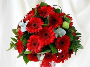 Red gerberas will perfectly complement the bride&#39;s white outfit - you just need to place a few accents in the same color