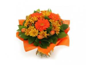 The beauty of gerberas is emphasized by tulips
