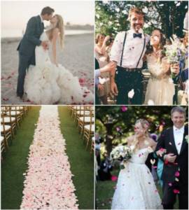 Лепестки роз на фотосессии жениха и невесты