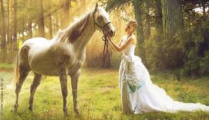 The horse will turn the shooting into a real fairy tale