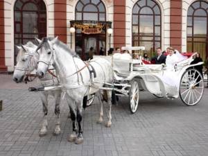 Лошади на свадьбе