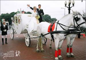 Horses for a wedding