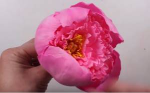 Glue large petals: