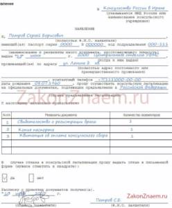 sample application for consular legalization of documents