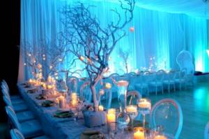 Decorating a banquet hall in winter colors