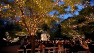 Tree lighting as wedding lighting