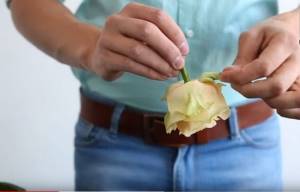Пошаговая инструкция оформления букета невесты из лепестков роз
