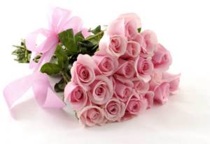 pink bouquet of roses