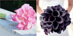 Pink and black colors are perfect for a mono bouquet
