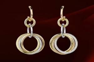 Earrings from a famous jewelry brand