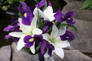 Сочетание фиолетовых ирисов с белыми лилиями