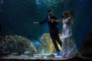 Las Vegas couple&#39;s underwater wedding
