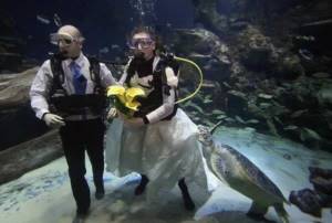 свадьба под водой