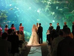 wedding in an aquarium