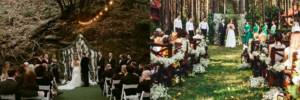 Wedding in the forest in the Moscow region