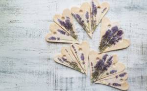 wedding in Provence style, lavender in decor