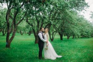 Wedding photo shoot in an apple orchard
