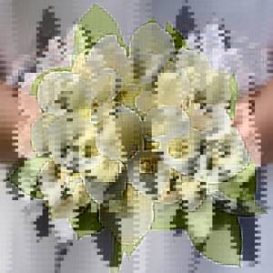 Wedding bouquet of callas