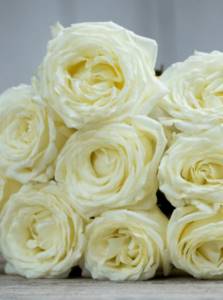 свадебный букет невесты из пионов и роз