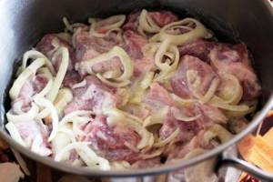 Pork meat in onion marinade