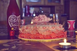 Cake for a bachelorette party: non-standard ideas, design options, inscriptions